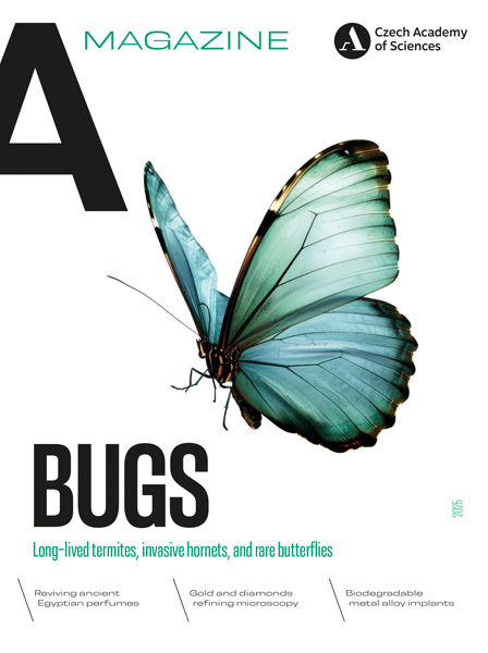 A Magazine 2025 issue BUGS cover page