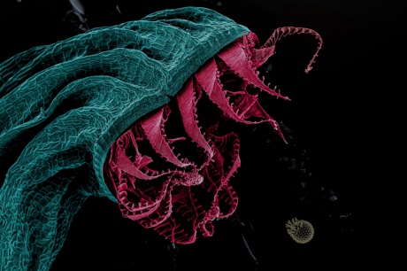 2025-12-03_Anglermoss