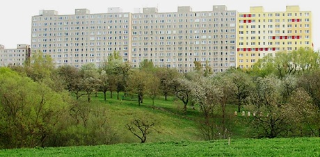 2026_02_02_zelen 2026_02_02_zelen